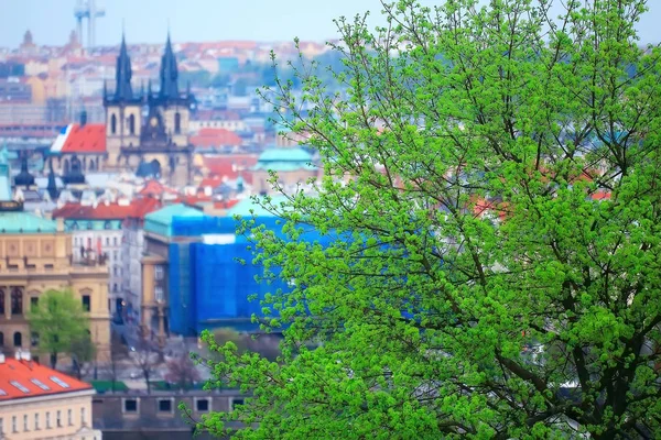 Krásný Starožitný Architektura Prahy Česká Republika — Stock fotografie