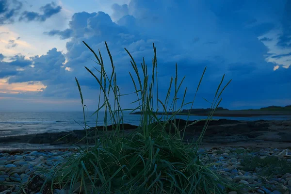 Geweldige Zomer Toendra Landschap Groen Mos Ecosystem — Stockfoto