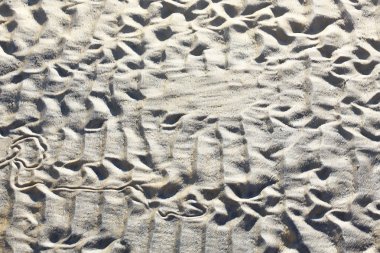 doku kum tepeleri tarafından boğuldu. Kum çığ dune duş