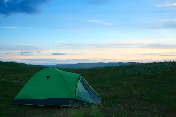 Fantastisk Sommar Tundra Landskap Grön Mossa Ekosystem — Stockfoto