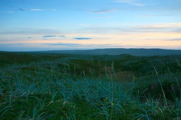 Incroyable Paysage Toundra Été Mousse Verte Écosystème — Photo