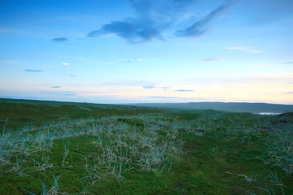 Incroyable Paysage Toundra Été Mousse Verte Écosystème — Photo