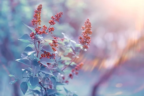 Jahrgang Hintergrund Kleine Blumen Natur Schön Straffendes Design Frühling Natur — Stockfoto