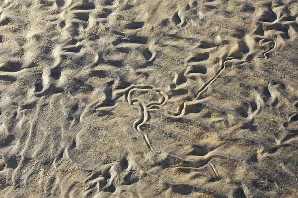Текстура Песка Утопленного Дюнами Песчаная Лавина Выливается Дюны — стоковое фото