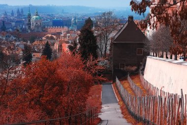 Sonbahar cityscape Prag. Panoramik kırmızı çatılar ve sarı ağaçlar