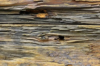 doku arka plan eski günlükleri/soyut gri doğa arka plan;