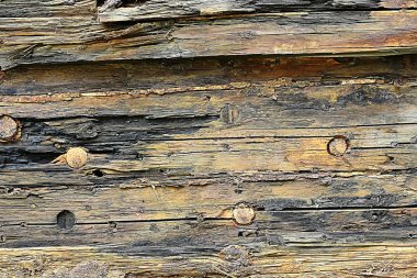 doku arka plan eski günlükleri/soyut gri doğa arka plan;