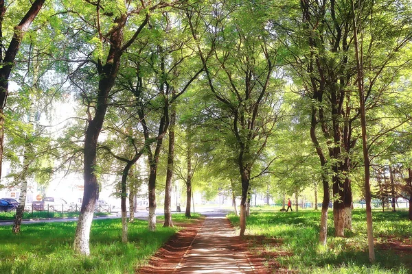 Outono Paisagem Árvores Amarelas Parque Outono Floresta Laranja Brilhante — Fotografia de Stock