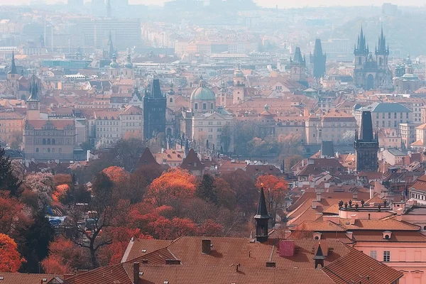 Осенний Городской Пейзаж Праги Панорамный Вид Красные Крыши Желтые Деревья — стоковое фото