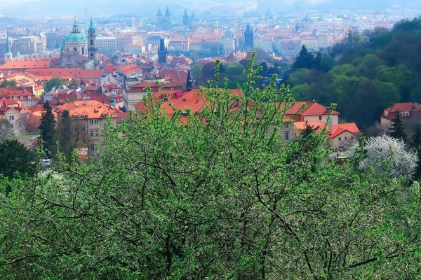 Prachtige Antieke Architectuur Van Praag Tsjechië — Stockfoto