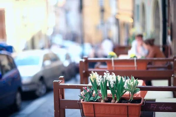 Café Aire Libre París Francia Comida Verano Aire Libre —  Fotos de Stock