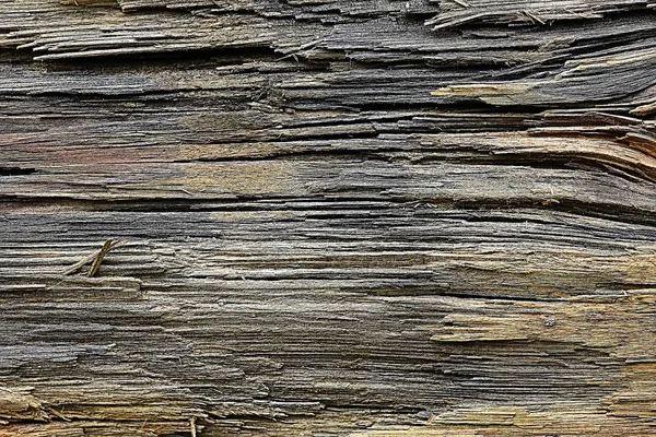 Textur Hintergrund Alte Protokolle Abstrakte Graue Natur Hintergrund — Stockfoto