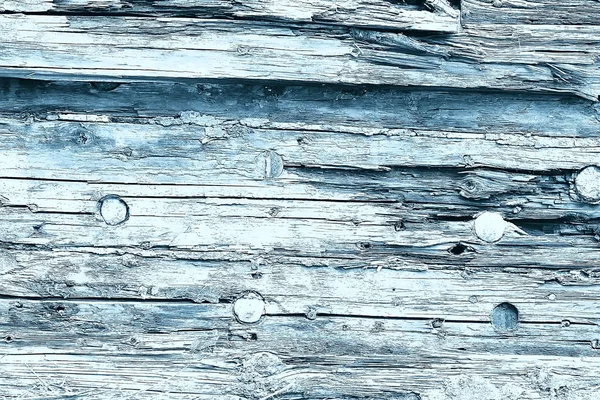 Texture Old Tree Blue Abstract Wood Texture Background — Stock Photo, Image