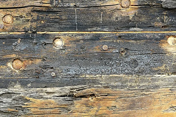 Texture Background Old Logs Abstract Gray Nature Background — Stock Photo, Image