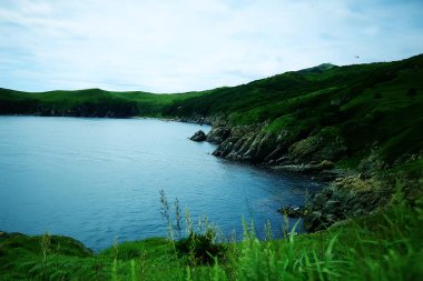 yüksek deniz kıyısı yeşil doğa şaşırtıcı uçurumdan, 