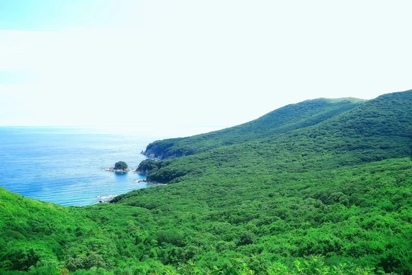 Hög Seashore Grönska Klippan Fantastisk Natur — Stockfoto