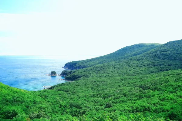 驚くべき自然の崖の高い海岸緑 — ストック写真