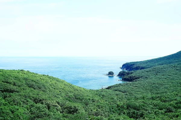 Hoge Kust Groen Van Klif Geweldige Natuur — Stockfoto