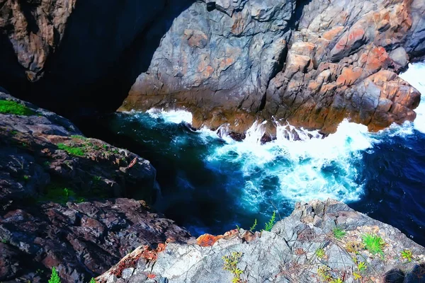 Висока Морська Зелень Скелі Дивовижна Природа — стокове фото