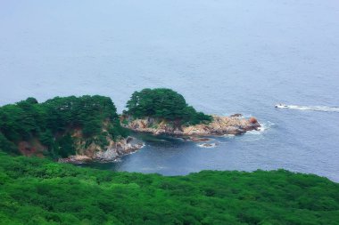 yüksek deniz kıyısı yeşil doğa şaşırtıcı uçurumdan, 