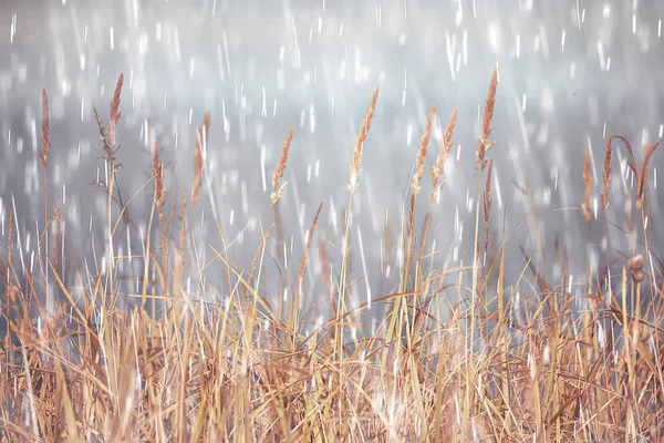 背景雨 秋季背景雨田野与干草 — 图库照片