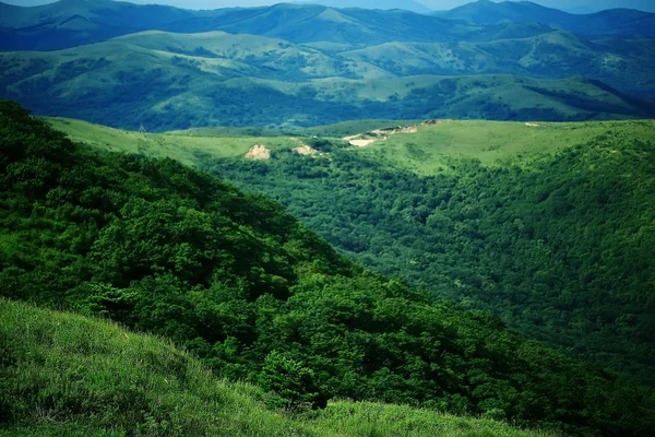 Landscape Hills Forest Summer View — Stock Photo, Image