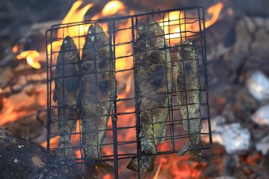 kömüre, ızgara alabalık trek gıda