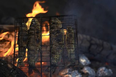 kömüre, ızgara alabalık trek gıda