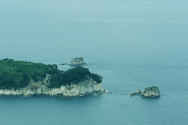 驚くべき自然の崖の高い海岸緑 — ストック写真
