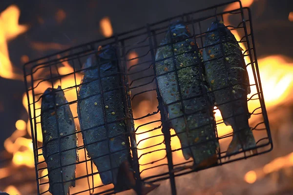 Trout Being Grilled Charcoal Trek Food — Stock Photo, Image