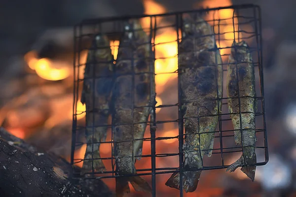 トラウトの炭でグリルされるトレック食品 — ストック写真