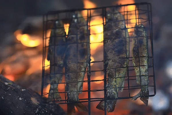 Trout Being Grilled Charcoal Trek Food — Stock Photo, Image