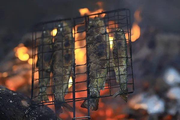 Trucha Parrilla Carbón Vegetal Comida Trek —  Fotos de Stock