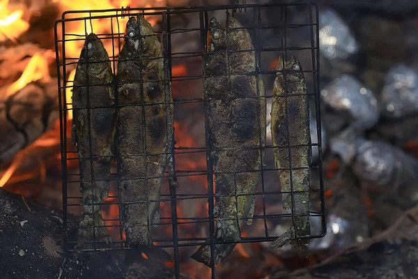 Trout Being Grilled Charcoal Trek Food — Stock Photo, Image