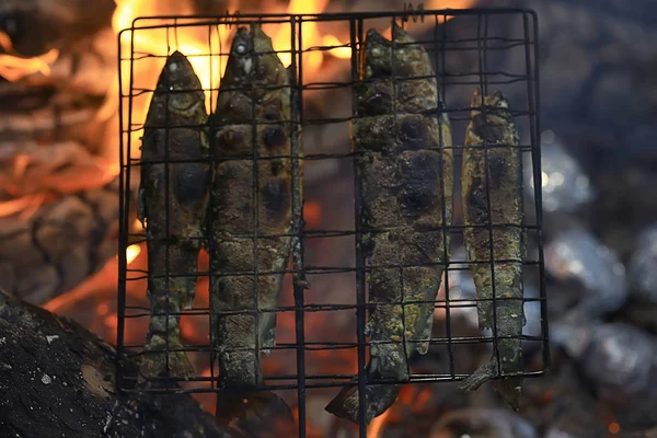 在木炭上烤鳟鱼 徒步旅行食品 — 图库照片