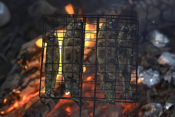 Trout Being Grilled Charcoal Trek Food — Stock Photo, Image