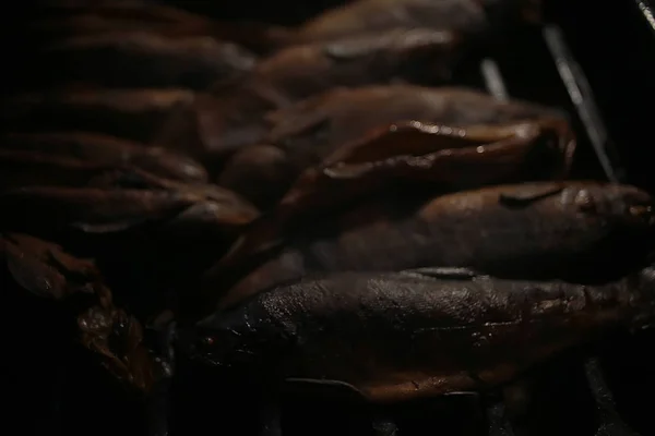 Trout Being Grilled Charcoal Trek Food — Stock Photo, Image