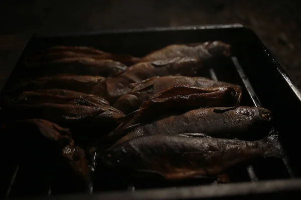 Trout Being Grilled Charcoal Trek Food — Stock Photo, Image