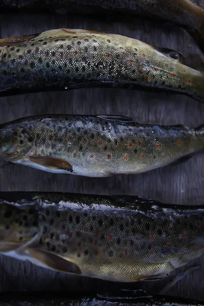 Trout being grilled on charcoal, trek food — Stock Image Trout Being Grilled Charcoal Trek Food Royalty Free Stock Photos