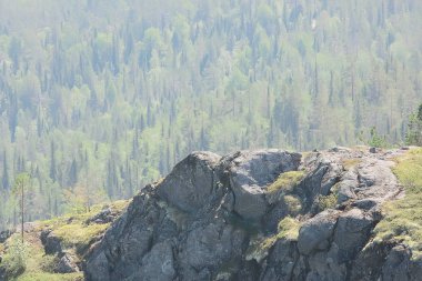 Tayga, Rusya'da iğne yapraklı orman havadan görünümü
