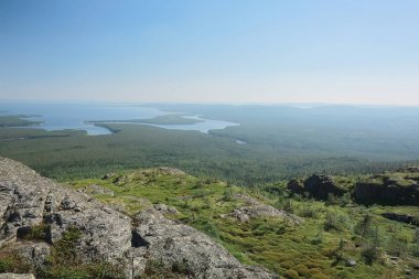 muhteşem yaz tundra manzara, yeşil yosun, ekosistem