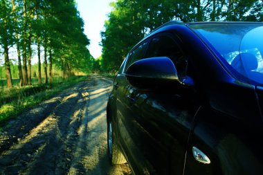 arkasından, yaz görünümü modern siyah araba 