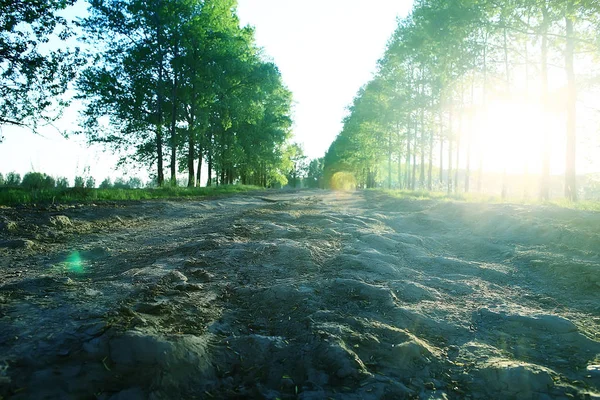 Sommer Ländliche Landschaft Grüne Bäume Wachsen Entlang Der Gasse — Stockfoto