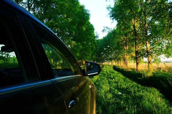 夏のビューの後ろからモダンな黒い車 — ストック写真