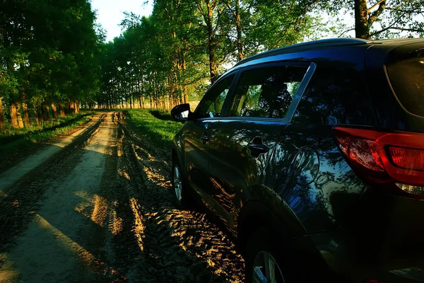夏のビューの後ろからモダンな黒い車 — ストック写真