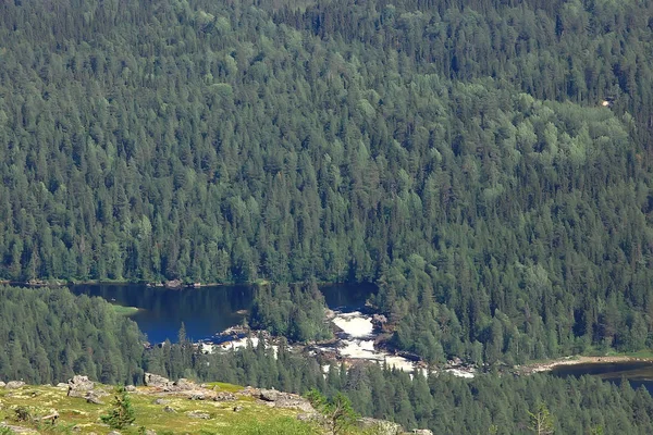 Aerial view of coniferous forest in Taiga, Russia — Stock Image Aerial View Coniferous Forest Taiga Russia Stock Picture