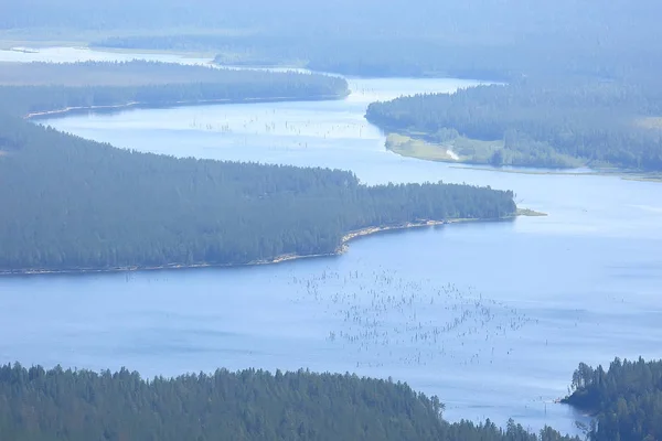 Aerial view of coniferous forest in Taiga, Russia — Stock Image Aerial View Coniferous Forest Taiga Russia Stock Picture
