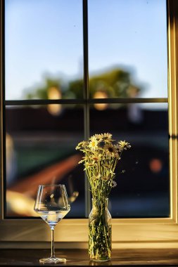 chamomiles bir vazoda kır çiçekleri taze bahar buket buket