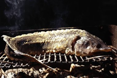 Mersin balığı balık duman, SterIeti ile ızgarada pişmiş füme