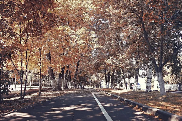 Herbstlandschaft Gelbe Bäume Herbstpark Leuchtend Orangefarbener Wald — Stockfoto